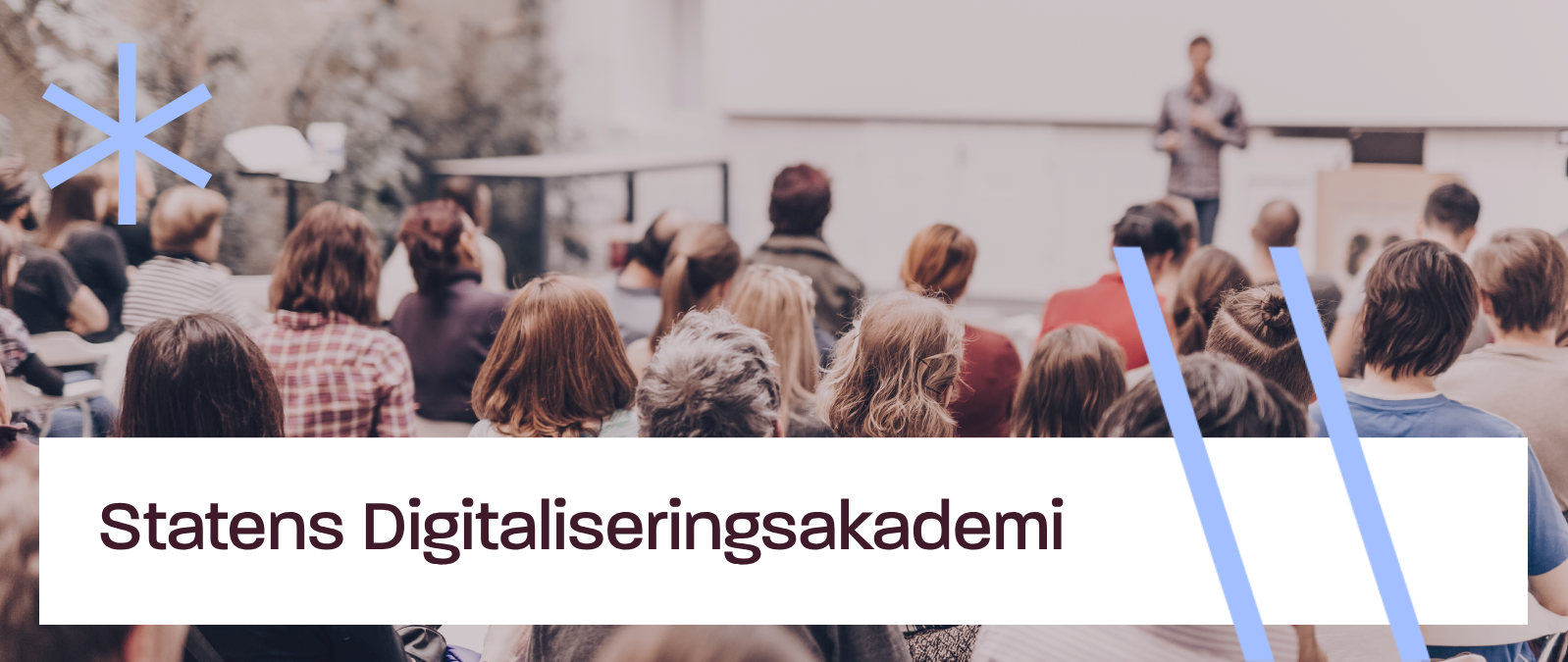 Statens Digitaliseringsakademi