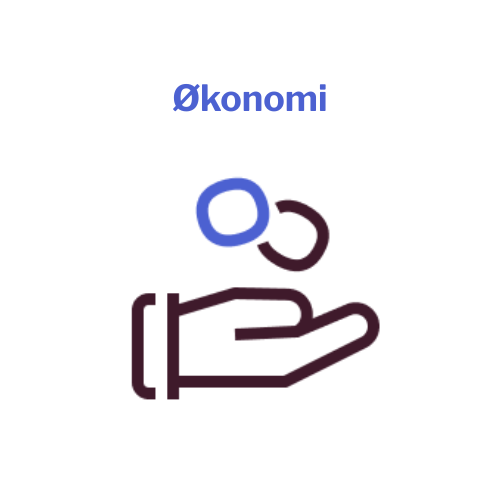 Økonomi